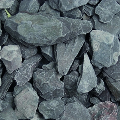 AG011021