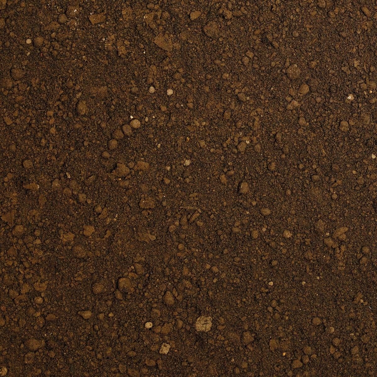 AG011210