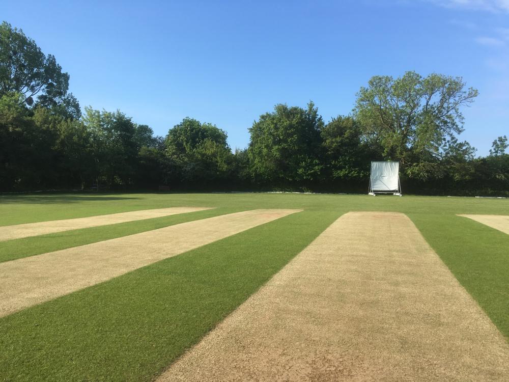 Supporting Local Sport: Chandler Material Supplies Teams Up with Galleywood Cricket Club
